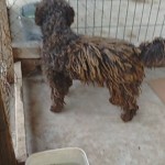 21743060_1460959503939949_3221853462279505880_n