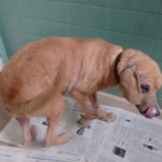 22490136_1484045334964699_5398909771678056618_n