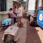 22885900_1494544180581481_3862860518524910607_n