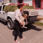 22894110_1496049677097598_6053753607930150608_n