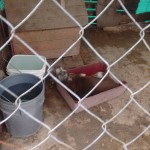 23031598_1495451833824049_5428517718048669265_n