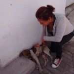 23032865_1496049643764268_3239984319017142172_n