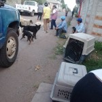 23032897_1494544007248165_2291914370794849585_n