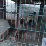 23131023_1495451893824043_9004394149349131687_n