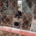 23131735_1495451783824054_4025481475194751755_n