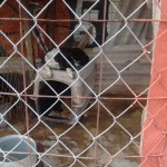 23132093_1495451707157395_5672022387945151326_n