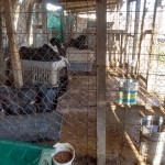 23755651_1515988951770337_3803117990144425216_n