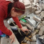 23844775_1518550614847504_2350086365284440419_n