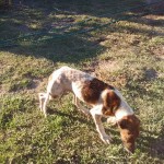 23844794_1515988898437009_6149729392334359135_n