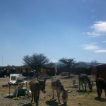 23844840_1518531638182735_7910687626320093294_n