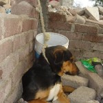 23844906_1518542334848332_5442322488375964634_n