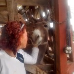 23905207_1518528401516392_4250899278173122617_n