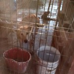 23905257_1515988755103690_987259909810021603_n