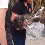 23905681_1518563398179559_3429836400920004169_n