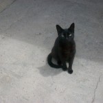 23915526_1519014938134405_89109040860872517_n