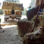 23915997_1518530804849485_730496979269239979_n