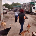 24067803_1518565151512717_7921034031978567934_n