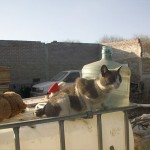 24067975_1519032434799322_1939209955908364538_n