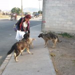 19959472_1575407752495123_3653258089898392427_n