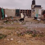 25550084_1574987512537147_1154055386821278601_n