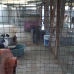 26219764_1561814690521096_7508850111403349358_n