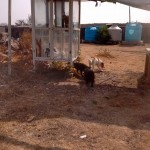 26814992_1561814763854422_8346031327726568242_n