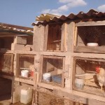 26815447_1561814643854434_6340257266198359209_n