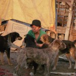 26903793_10155652710479998_7737790428125949665_n