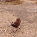 26907226_1574987345870497_6420534140701945333_n