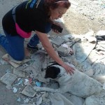 27072428_1573450972690801_8076310790107232245_n