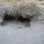 27331985_1575407542495144_8883289875612763210_n