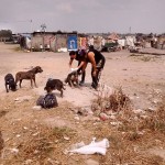 28055927_1601295563239675_4219077657086506285_n