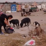 28058890_1600738589962039_4228769216200724711_n