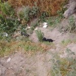 28166531_1601304563238775_7186361706682950063_n