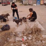 28166938_1601038316598733_2454091373166285160_n