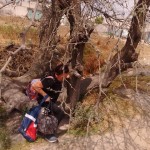 28276347_1601304616572103_4276596222114805611_n