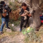 28276733_1601304699905428_8579440341001369755_n