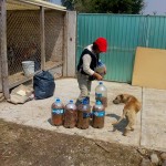 31253137_1663728420329722_3629685700892295168_n