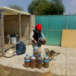 31345035_1663728536996377_7612613748708081664_n