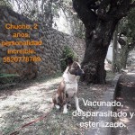 c7f08732-1cbe-44ab-bf45-4e6c7096e934