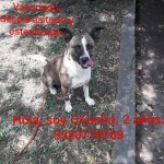 ec0fab4f-f645-4f45-9c87-18cef4c45b98