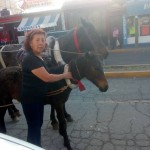 32489698_1682775978424966_6493559624598290432_n