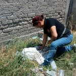 33027146_1688383311197566_2111084637685022720_n