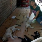 33038612_1687872087915355_8398770150320373760_n