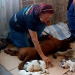 33097361_1688501804519050_5446073515499323392_n