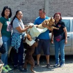 33133663_1688454241190473_6438021651601817600_n