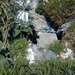 33165973_1687877487914815_2296617114519207936_n