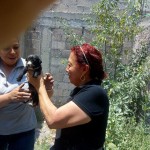 33183994_1688383397864224_4244257450359783424_n