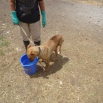 33366803_1691182894250941_333552541801381888_n