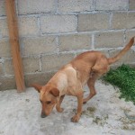 33491829_1691173644251866_5440800296387215360_n